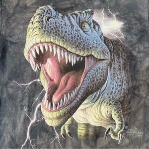 The Mountain Kids 2009 Tyrannosaurus Rex T Shirt Size Small